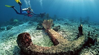 Photo of Плавания по мировым океанам